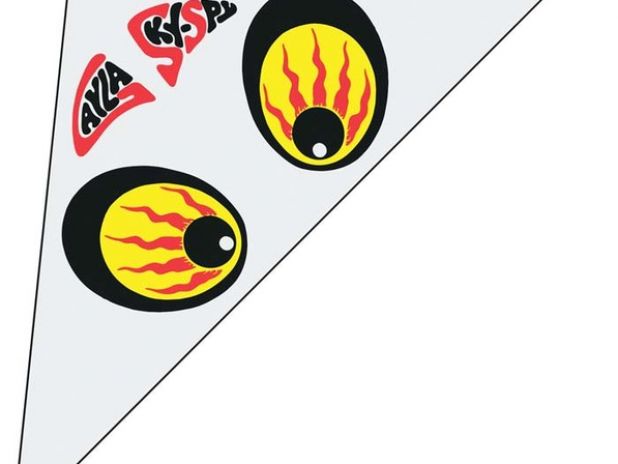 Latawiec - Sky Spy Delta 50