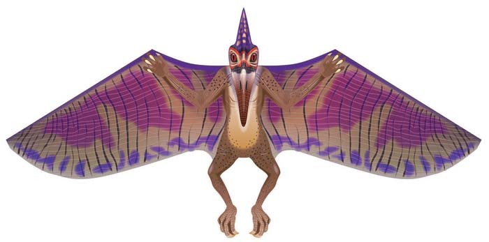 Latawiec BRAINSTORM - WNS DinoSoars 31x64