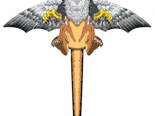 Latawiec BRAINSTORM - WNS FantasyFliers 62x61