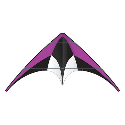 Latawiec BRAINSTORM - DC SPORT kolor fioletowy