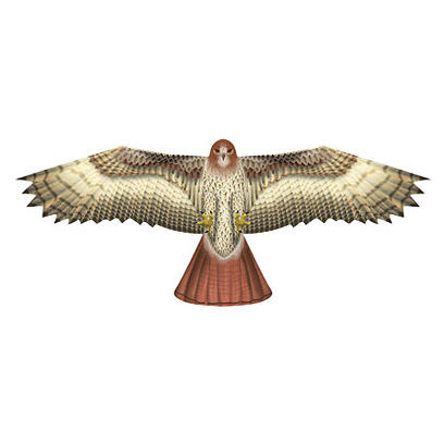 Latawiec BRAINSTORM - Jastrząb