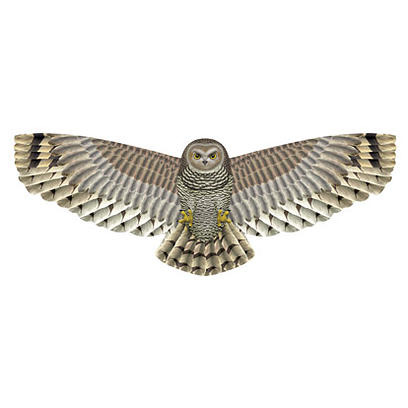 Latawiec BRAINSTORM - Sowa